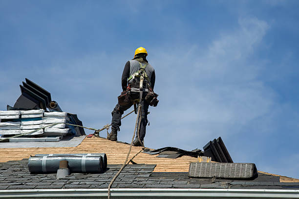 Professional Roofing technician working in Lake City, MN